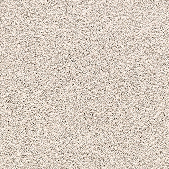 Carpet Group 06