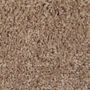 00105 - NATURAL FLAX