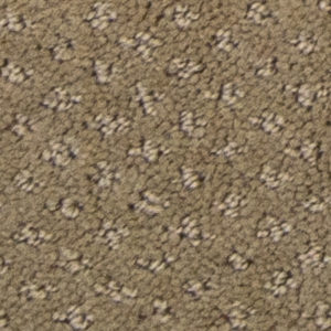 BISCOTTI 783