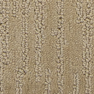 Dunes 102