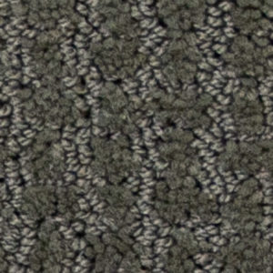 Silver Sage 310