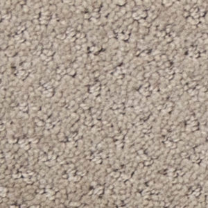 STUDIO TAUPE 173