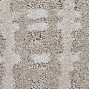 FOSSIL 00104