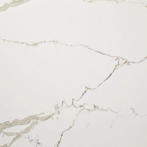 Daltile - Marble Attache 24 x 24 Polished - Calacatta