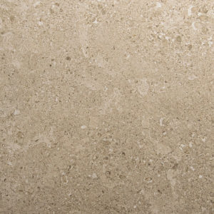 Daltile - Dignitary 24 x 24 - Notable Beige