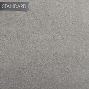 Shaw - Sphinx 12 x 24 - 500 Grey