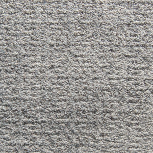 Grey Fox 00504
