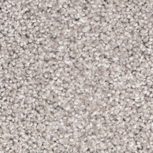 Southern Ridge Koala