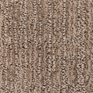 Sanibel Beach Peanut Shell