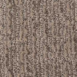 Sanibel Beach Plains