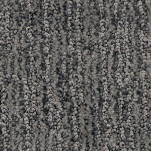 Sanibel Beach Sharkskin