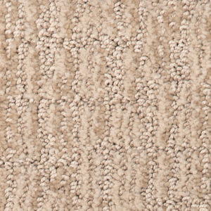 Sanibel Beach Sunlight